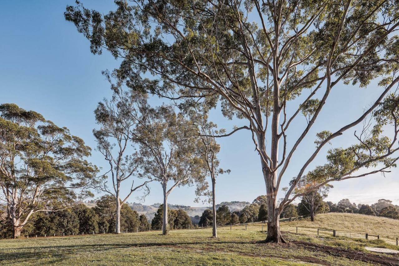 99 Acres Bangalow Retreat Exterior photo